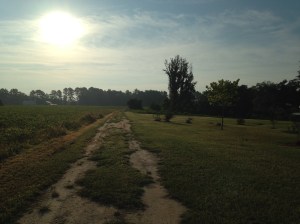 The earth of my birth. 